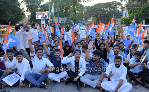 nsiu protest1